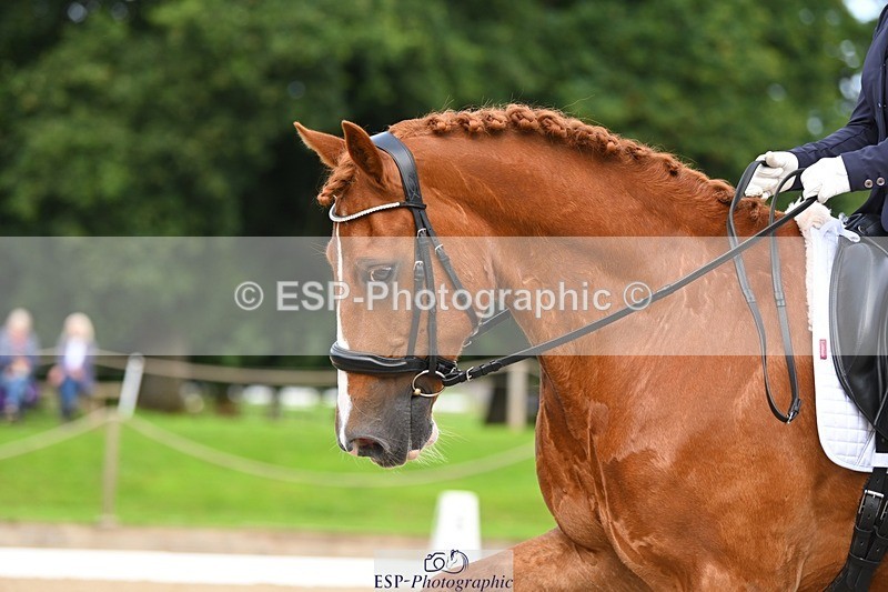 230813-095012-05974 - Cls 12 Elem Silver Start to 10.10 break