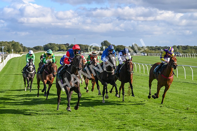 100924-Race 5-Crocodile Power-0444 - Race 5