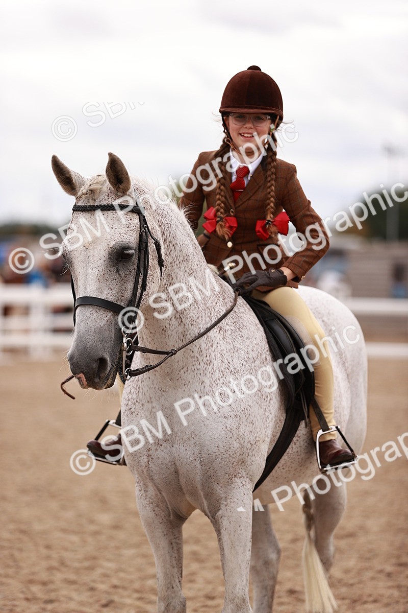 SBM_18596 - Class 421 - Childs Best Friend - Jnr