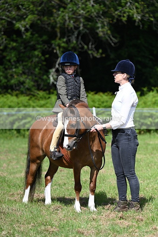 WJ7_0781 - Class 8 First Rally Pony