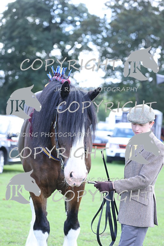 APP_3432 - Class 6 Young Handlers