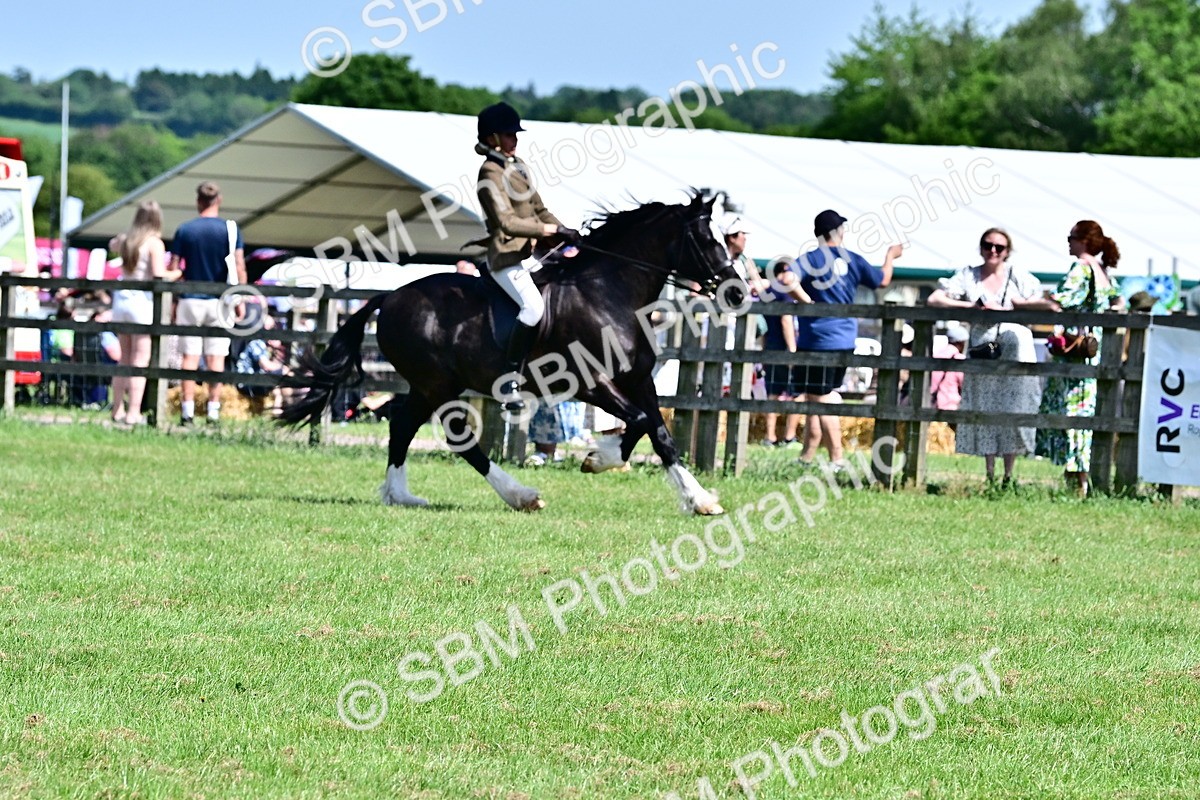 SBM_08034 - Class 61-62 - TSR  M&M Ridden Amateur of the Year