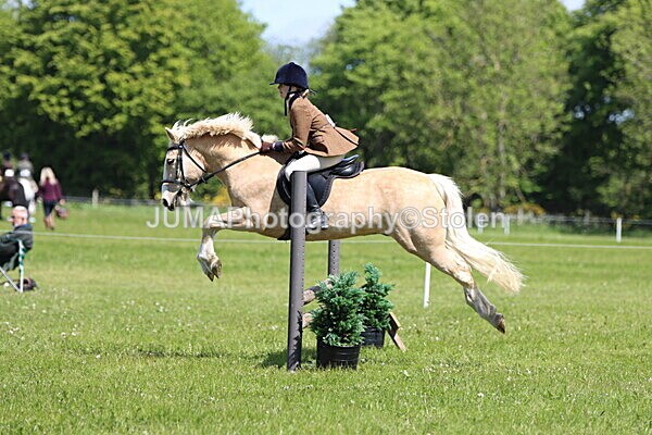 IMG_3663 - Working Hunter
