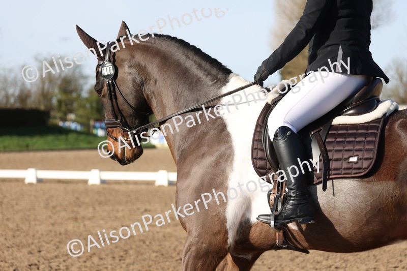 20260214-0523 - Class 5 - Novice 3