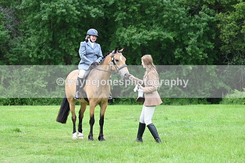 WJ7_4293 - Class 14A Handsome Gelding