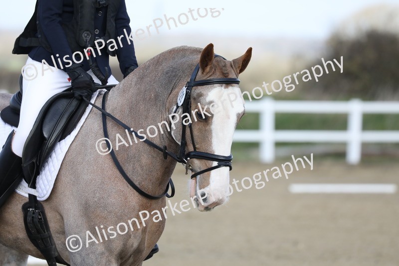 20260314-0323 - DR1 - Intro 1