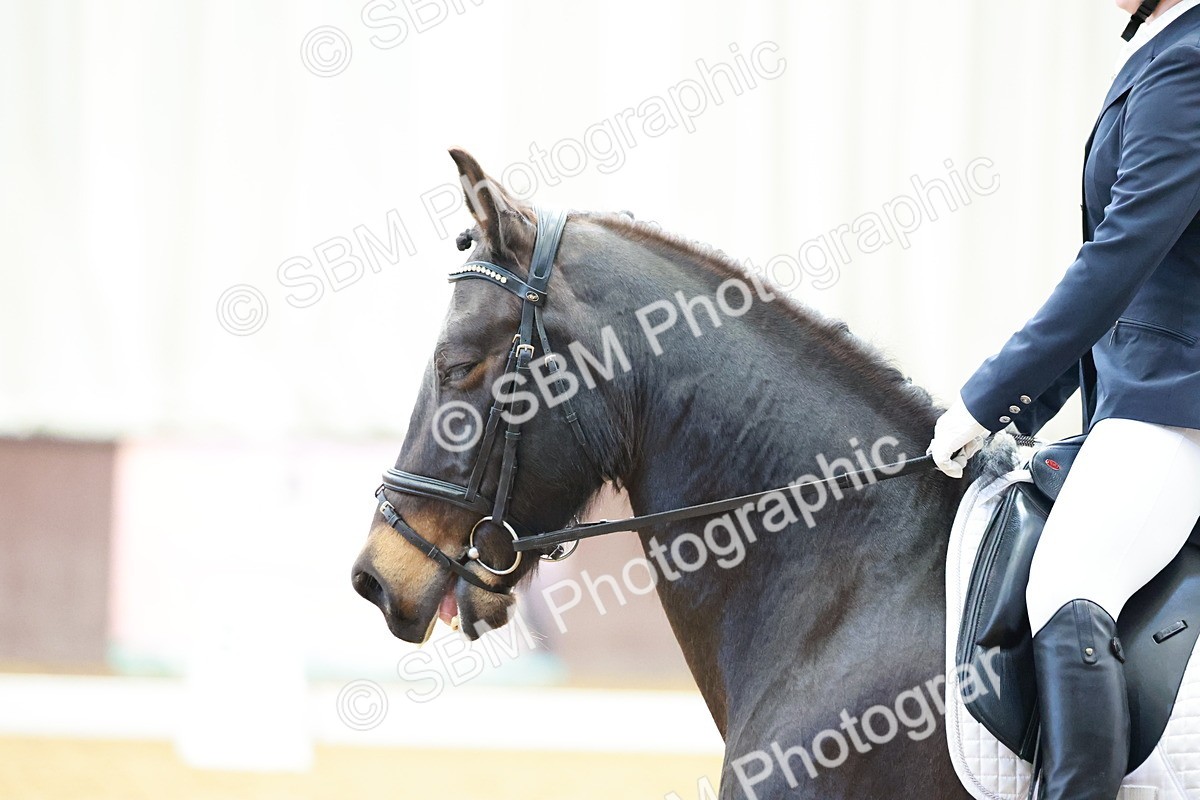 0B8A4137 - Class 3-6-9 - Prel Nov Ele - FSM