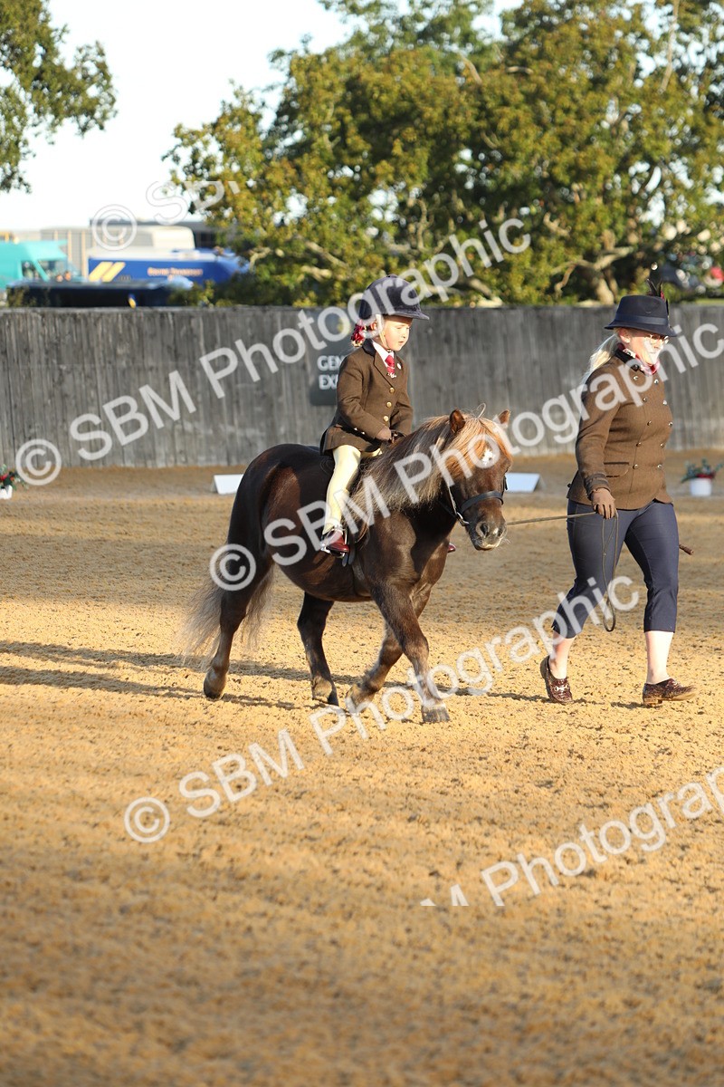 SBM_33530 - D26 - Starers - Lead Rein