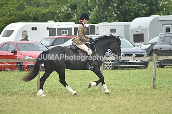 DSC_8573 - Rings 1 & 2