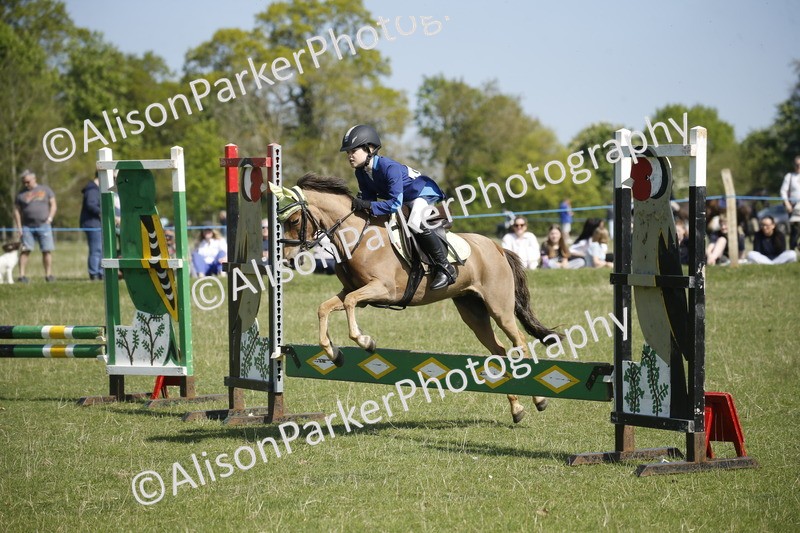 20250427-2121 - Class 13 - Novice Jumping 60cm