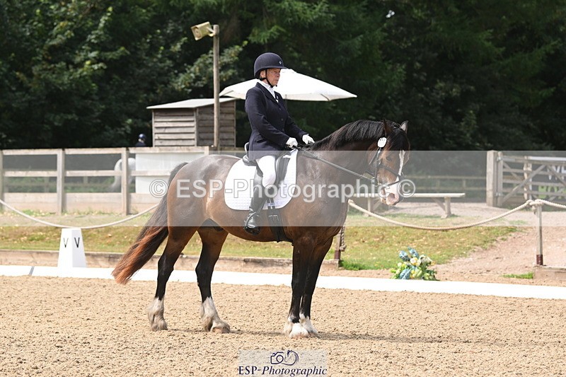 250720A-115632-10073 - 079-Amanda.Williams-Llanarth.Westminster