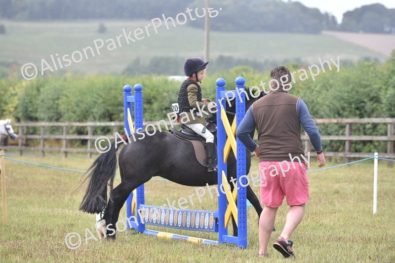 20250831-1863 - Class 9 - Absolute Novice 45cm