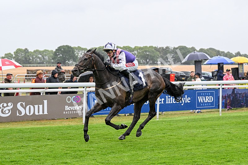 150725-Race 3-Time Tells All-0369 - Race 3