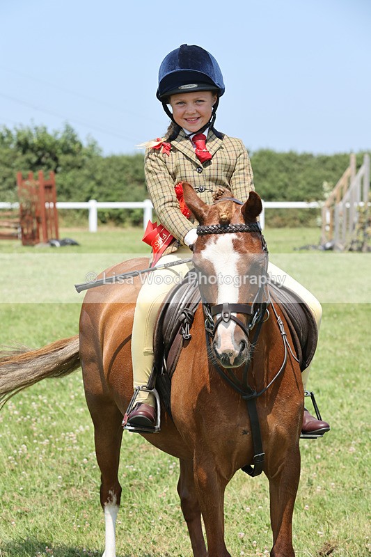 JPP_2934 - Class 21: Working Hunter 60cm