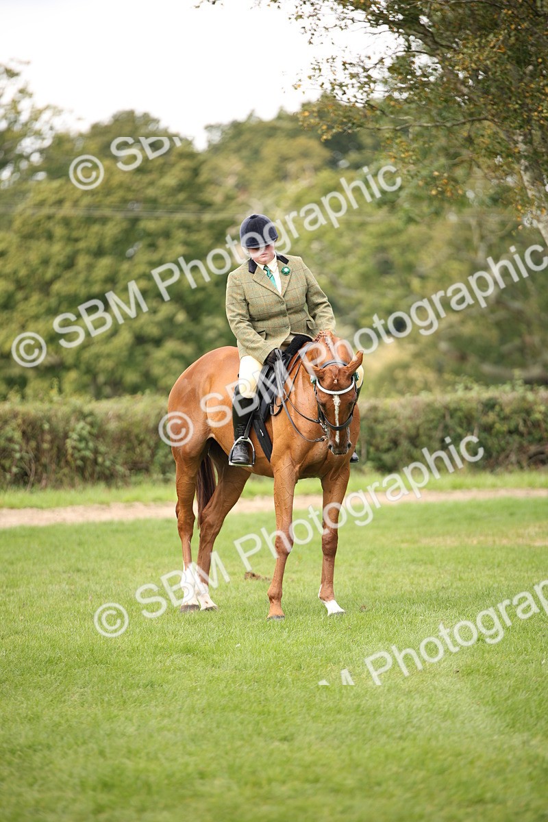 SBM_65960 - S64 - Riding Horse & Hack & Thoroughbred Ridden