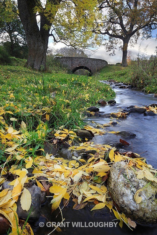 Autumn Leaves - Woods Trees Gorges and Waterfalls