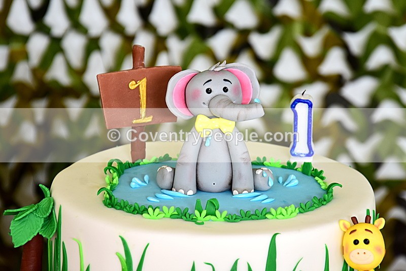 ADN-409 - Aiden's 1st Birthday
