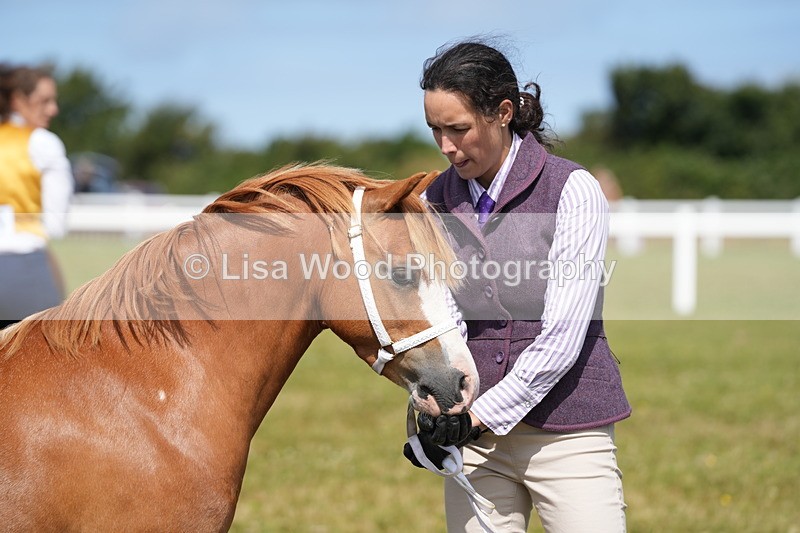 DSC05566 - Class 50: NPS M&M 4 years and over Small Breeds