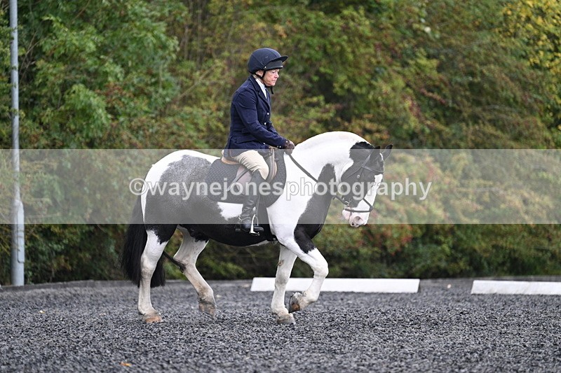 WJ7_3176 - Time 09:54 to 10:54