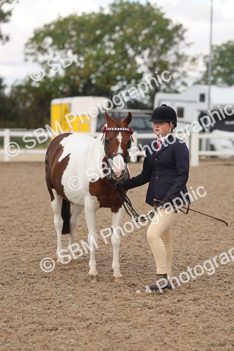 SBM_04372 - Class 17 - Prettiest Mare (IH or Ridden)