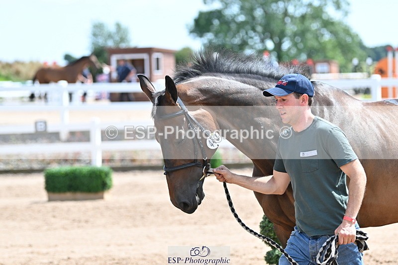 240717A-150150-02461 - Trot Up 3pm to 4pm
