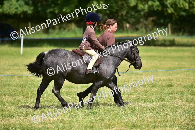 20260614-1371 - Class 11b - Lead Rein Pony (Plaited)
