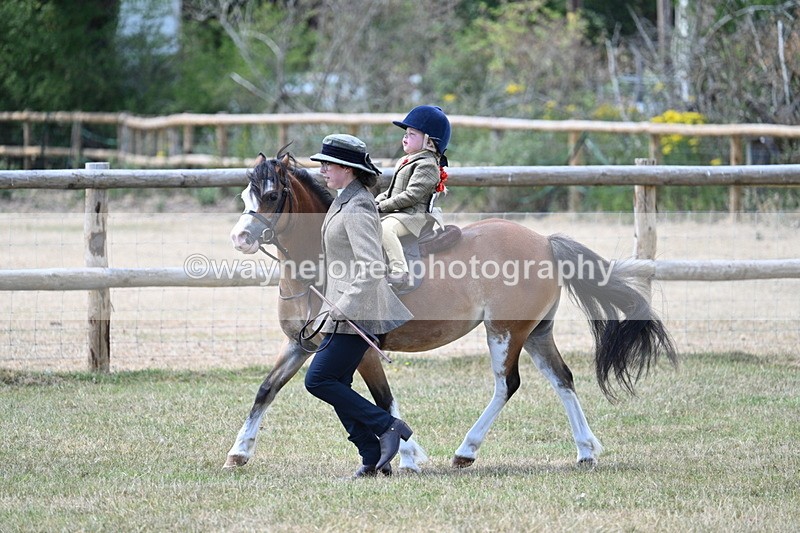 WJ7_2596 - Class 6 Ridden Mountain and Moorland