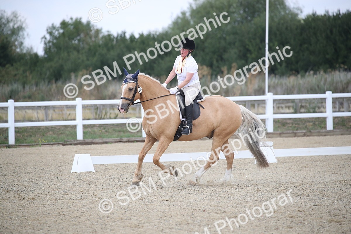 SBM_008203 - Novice 5 - 10.56-13.12