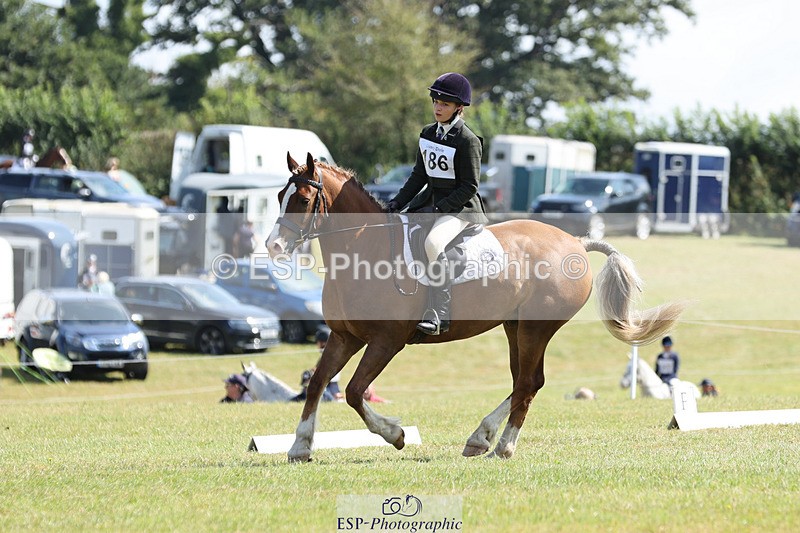 240824X-115024-26988 - D80 Section G and H 11.00 to 12.00