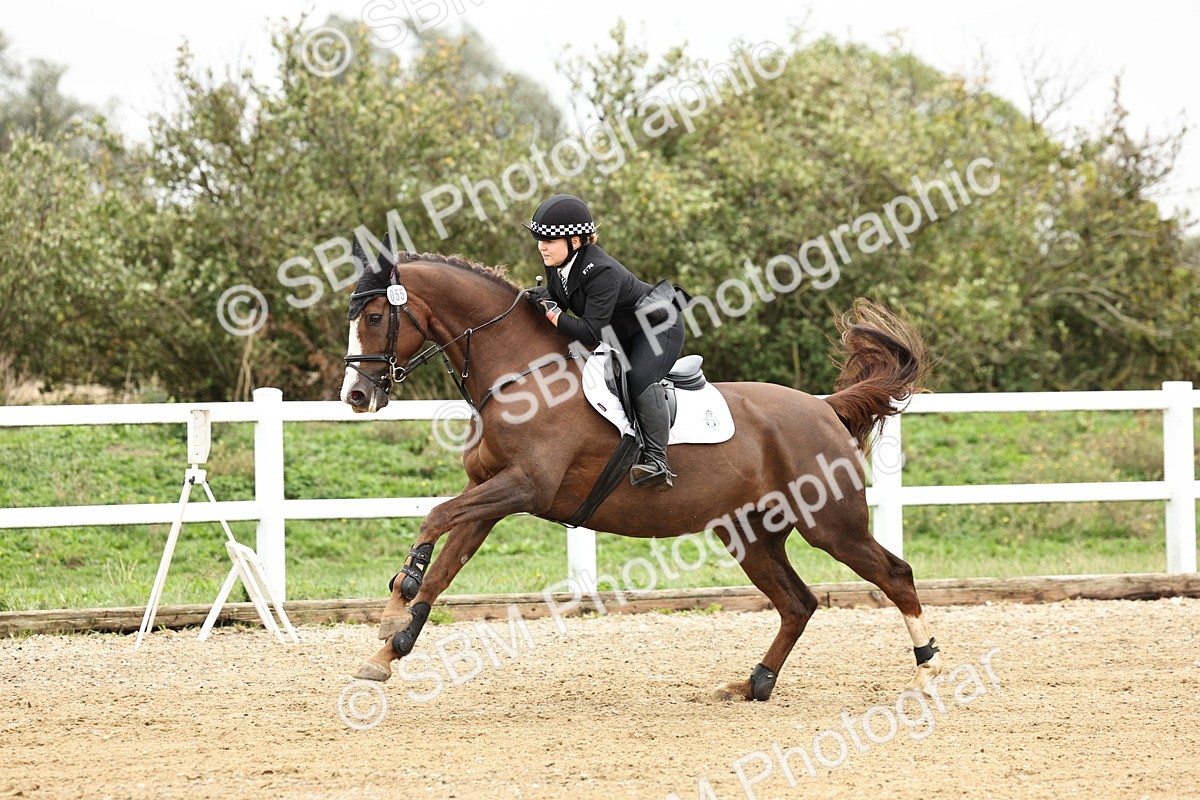 SBM_006468 - Class 74 - 85cm