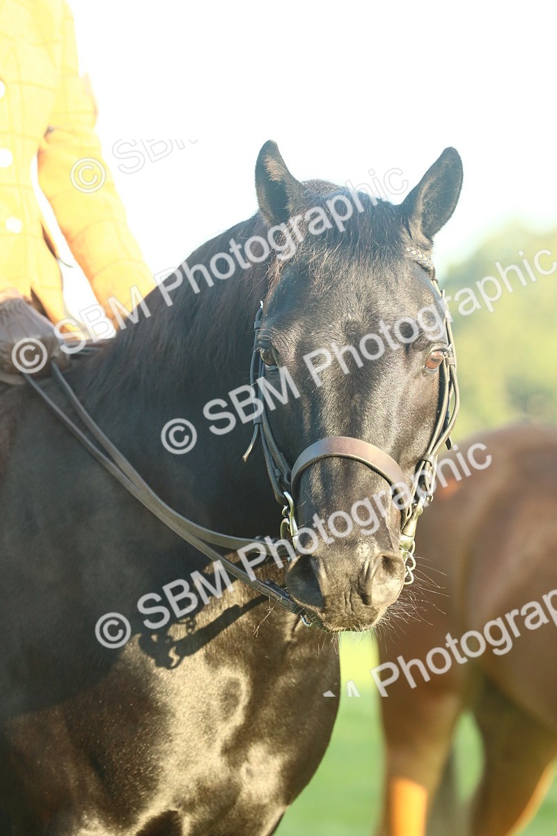 SBM_56636 - S36 - Starters Best Turnout