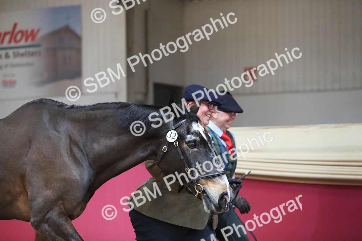 SBM_04296 - Class 7R Regional - IH Diamond