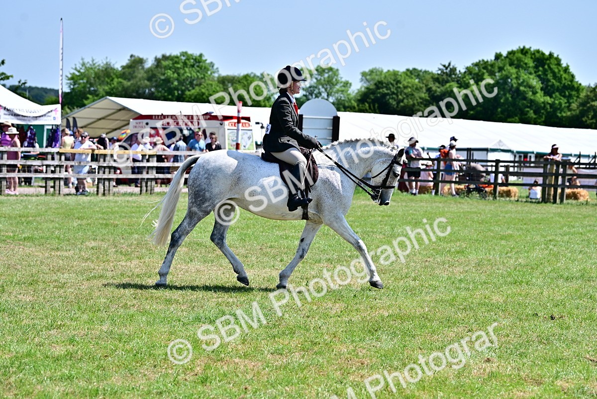SBM_17414 - Class 95-97 - BSPS LHS Performance Ponies