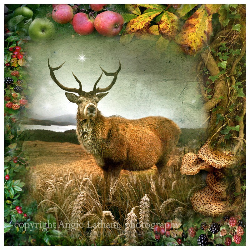 AS014 Autumn Equinox - Magic & Mystery