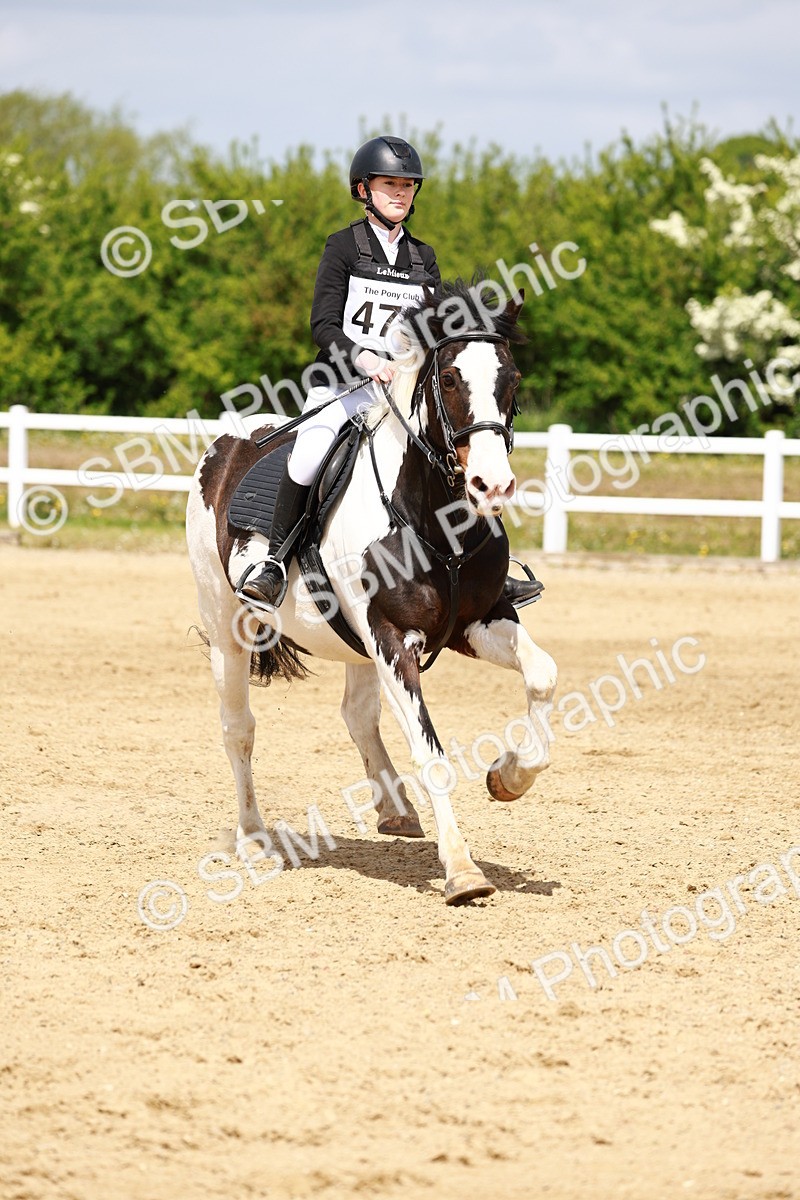 SBM_007986 - Class 3 - 60cm