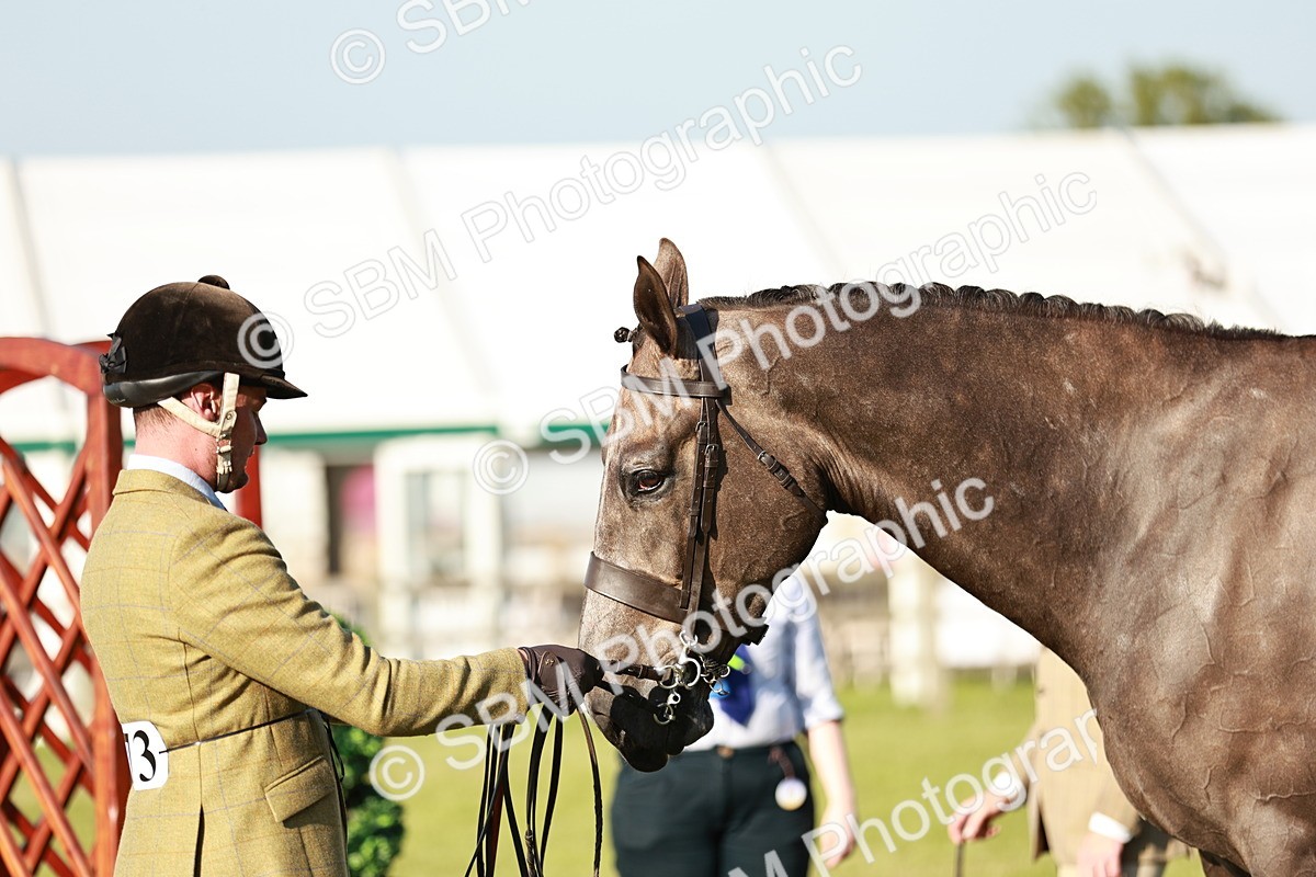 SBM_20163 - Class 117-119 - Sport Horse Working Hunter