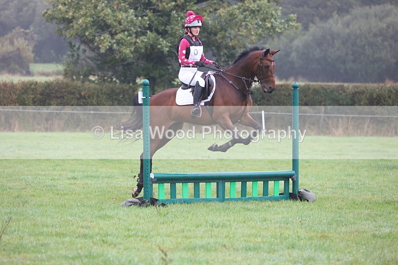 JPP_5000 - Class 1: 65cm : Showjumping