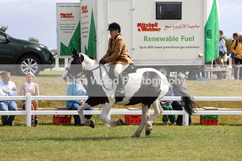 3E7A9808 - Class 5: Rising Star Lightweight/Heavyweight Cobs