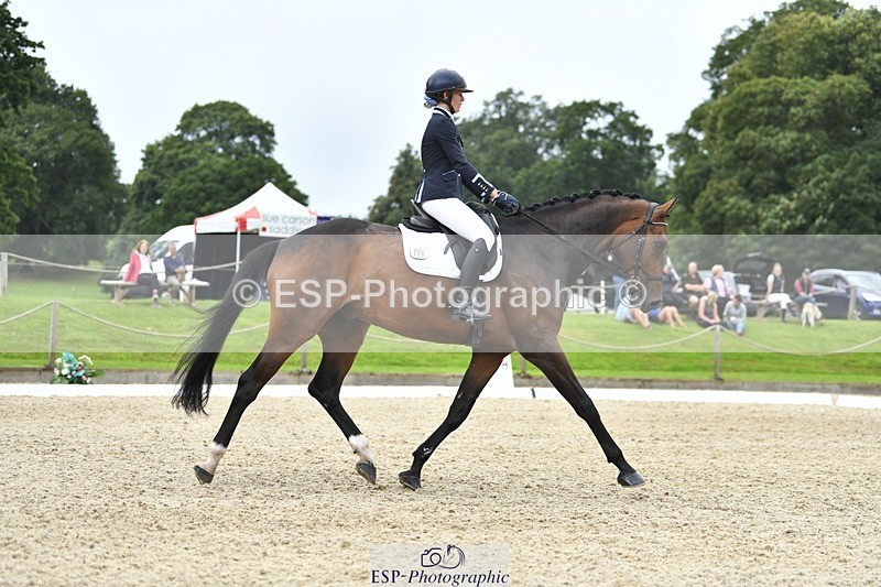 230812-124534-04212 - Cls 6 Novice Silver 12.10 to End
