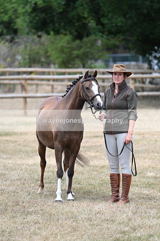 WJ7_1499 - Class 4 Prettiest Mare up to 14.2hh in hand