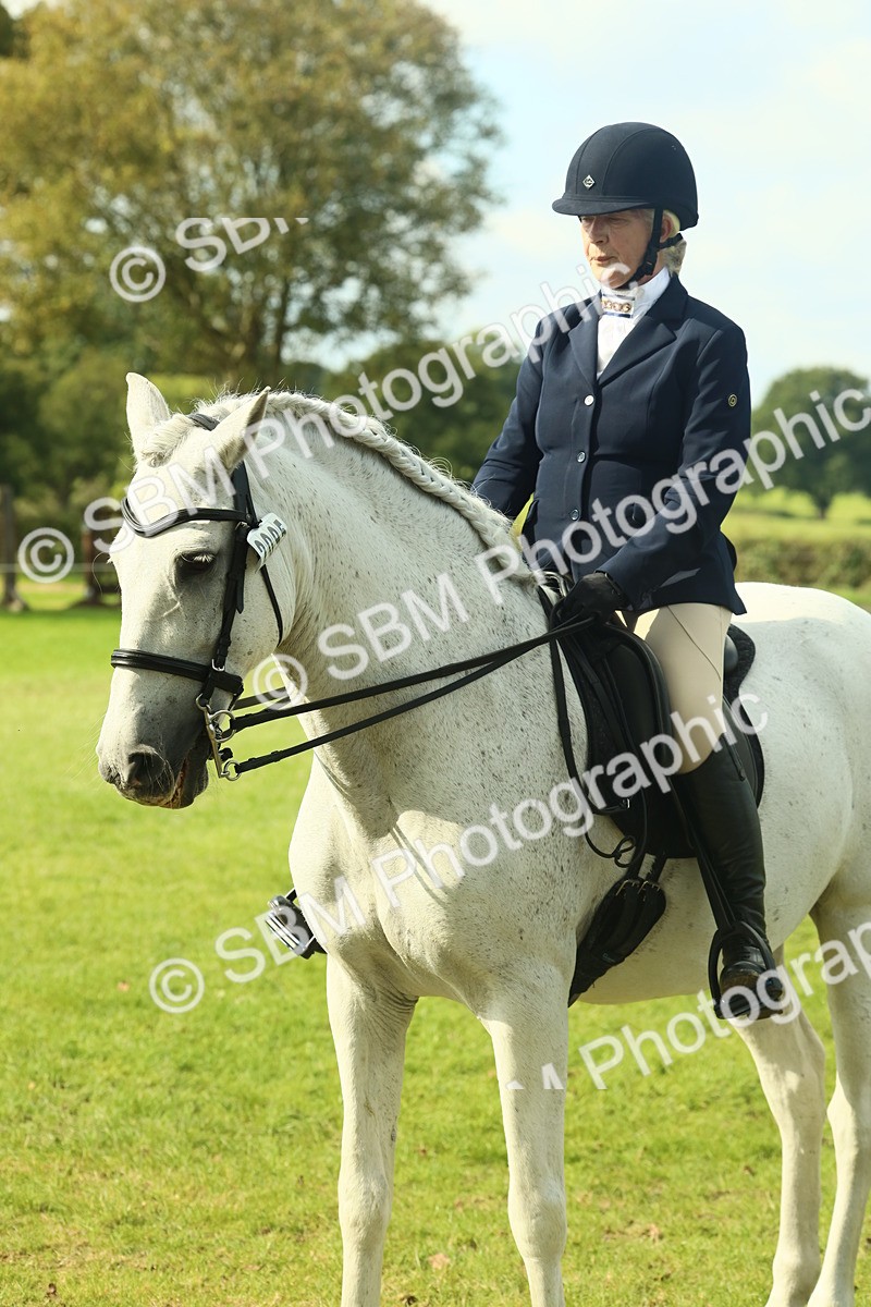 SBM_62509 - S62 - Foreign Breeds Ridden