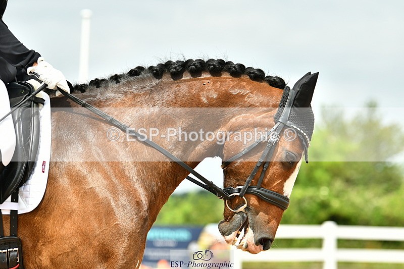 230701A-122907-06083 - Cls 8 Elementary 57