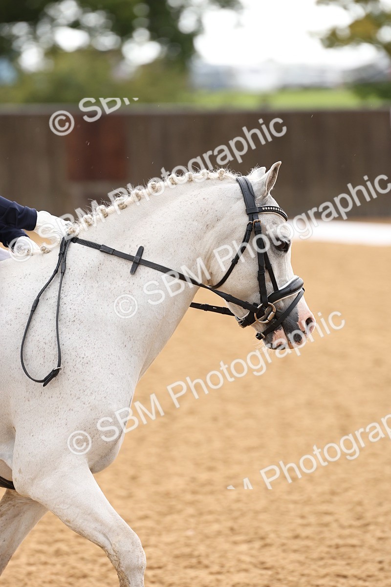 SBM_03404 - D1 - Small Tour Championship Intro 1