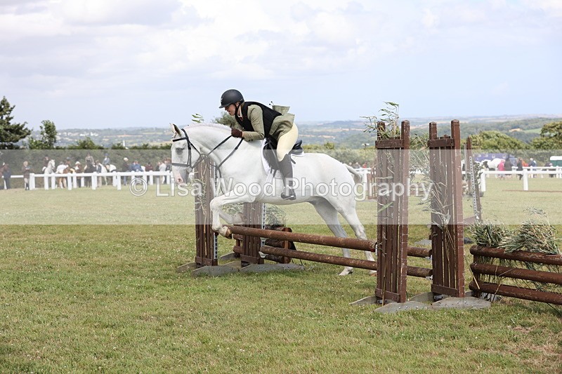 JPP_2080 - Class 19: Working Hunter 60cm