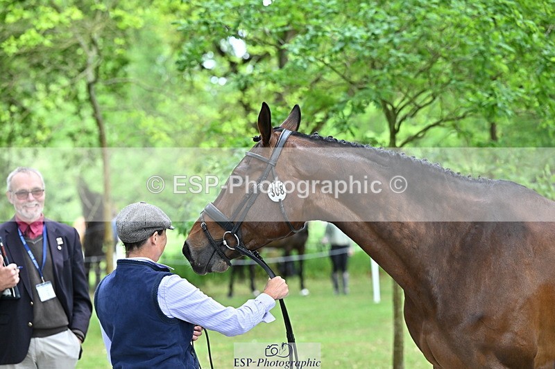 250521A-152043-00438 - B-308-Jeanette.Brakewell-COUGAR.MAIL