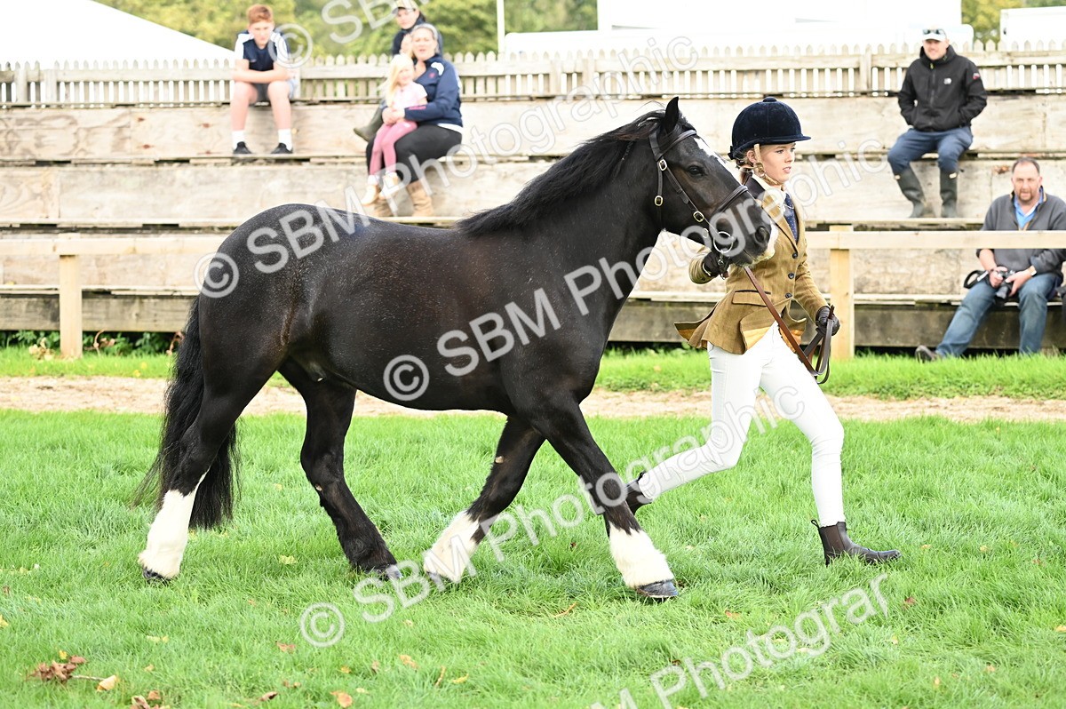 SBM_25009 - S5 - Novice & Newcomer In hand