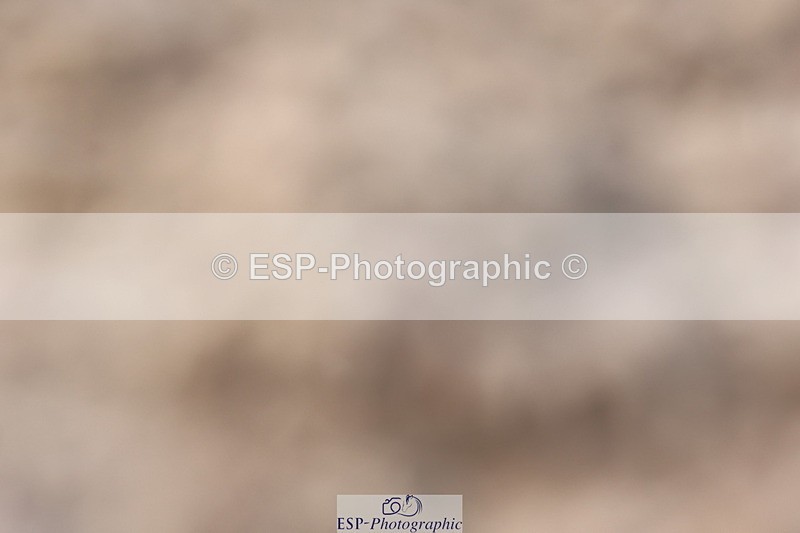 240622A-165618-14749 - Cls 38 BD FEI PSG