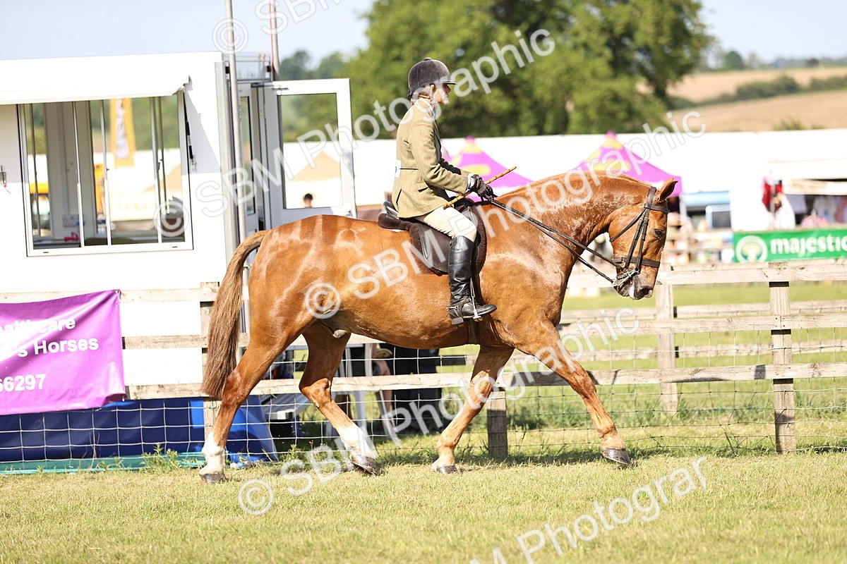 SBM_19602 - Class 87-88 - RIHS BSHA Riding Horses