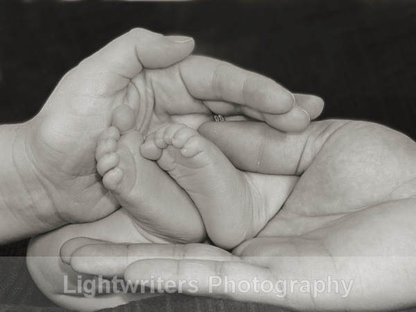 Buckle60 - Baby Harper