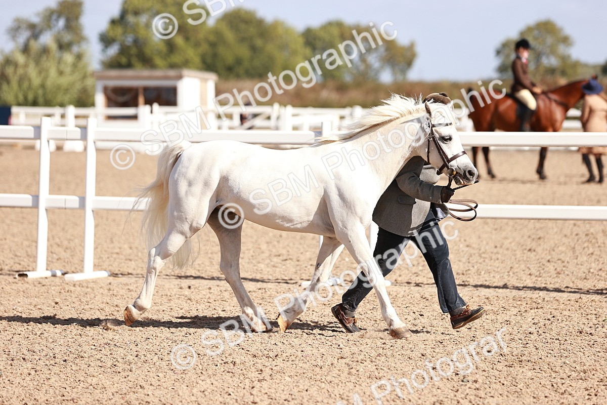 SBM_22787 - Class 705 - IH Combination 65+